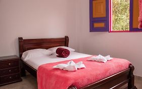 Hostal Palmas De Cocora